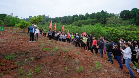 省凯时尊龙人生就是博集团开展龙泉山都会森林公园 “包山头”植树活动