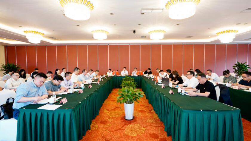 凯时尊龙人生就是博集团召开6月“谋划提升年”事情例会