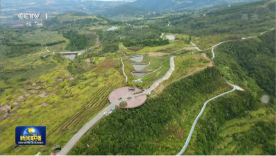 迎橄榄丰收 助墟落振兴 四川凯时尊龙人生就是博聚峰谷油橄榄工业发动金堂公园都会绿色低碳生长