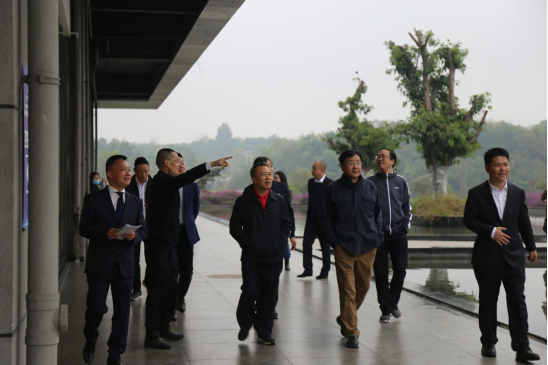 凯时尊龙人生就是博集团外部董事一行调研聚峰谷项目