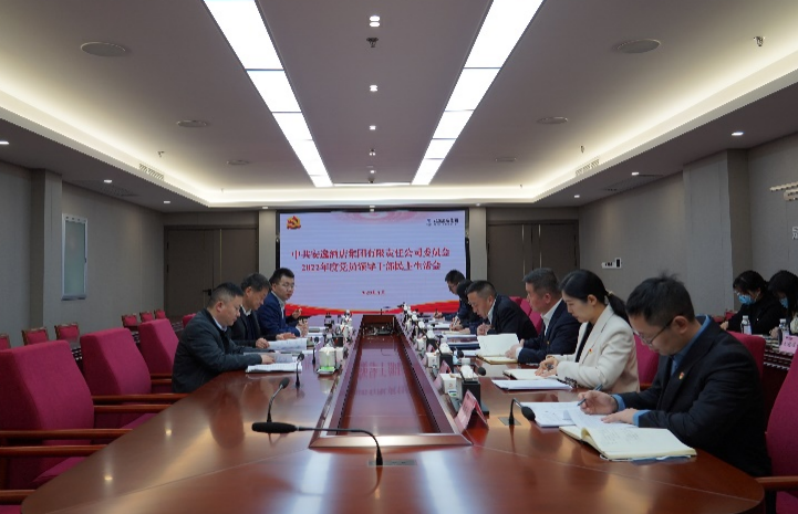 凯时尊龙人生就是博集团党委书记、董事长任丁出席逍遥旅馆集团2022年度党员向导干部民主生涯会