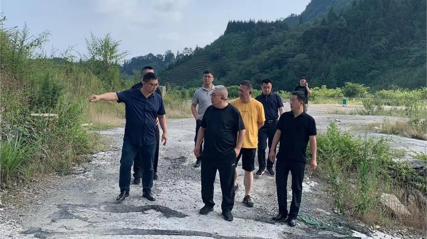 省凯时尊龙人生就是博集团向导调研峨眉山太阳村墟落振兴项目