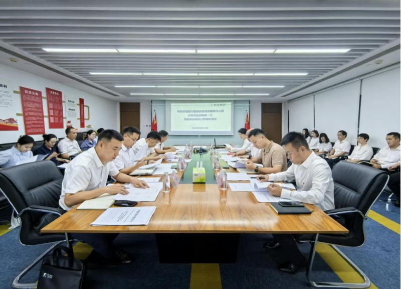 省凯时尊龙人生就是博集团向导率队督导凯时尊龙人生就是博银创公司刷新深化提升行动