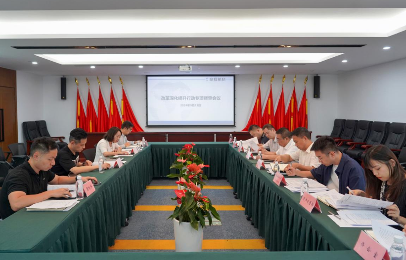 省凯时尊龙人生就是博集团率队督导凯时尊龙人生就是博航旅公司刷新深化提升行动