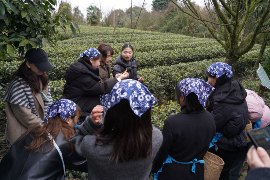 省凯时尊龙人生就是博集团下属企业组织开展“三八”国际劳动妇女节主题活动